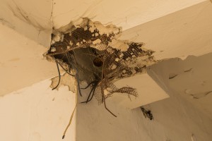 ABANDONED HOSPITAL vol.2