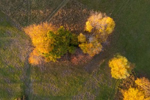 Aerial Mountains - Autumn