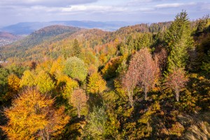 Aerial Mountains - Autumn