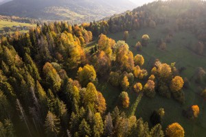Aerial Mountains - Autumn