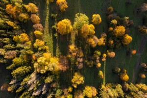 Aerial Mountains - Autumn