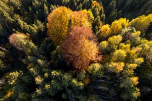Aerial Mountains - Autumn