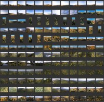 Aerial Mountains - Autumn