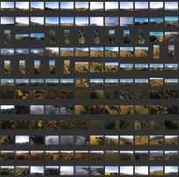 Aerial Mountains - Autumn