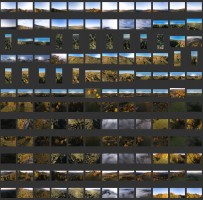 Aerial Mountains - Autumn