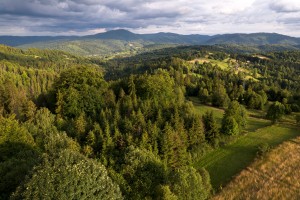 Aerial Mountains - Summer 