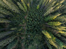 Aerial Mountains - Summer 