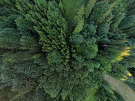 Aerial Mountains - Summer 