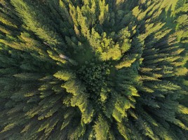 Aerial Mountains - Summer 