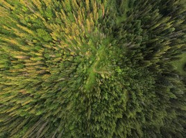 Aerial Mountains - Summer 