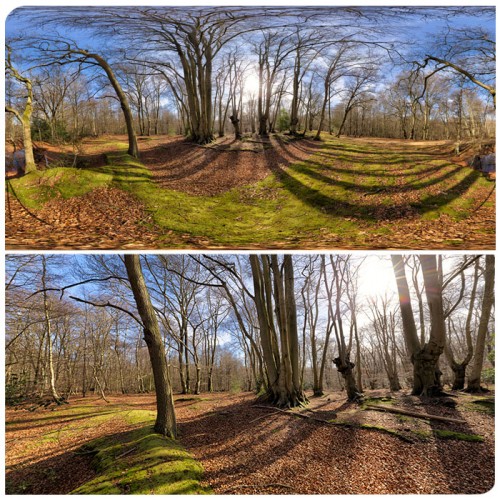 Hdri Panorama Of Autumn Forest In K K And K Resolution