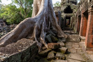 Cambodia - Banteay Kdei Temple