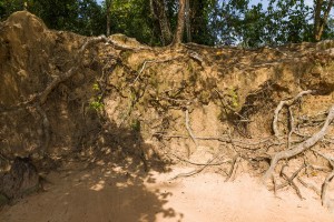 Cambodia - Neak Pean