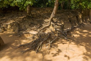 Cambodia - Neak Pean