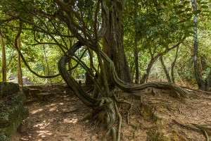 Cambodia - Neak Pean