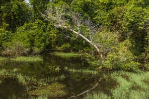 Cambodia - Neak Pean