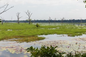 Cambodia - Neak Pean
