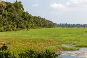 Cambodia - Neak Pean