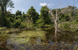 Cambodia - Neak Pean