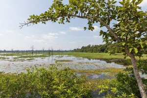 Cambodia - Neak Pean