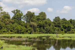 Cambodia - Neak Pean