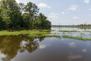 Cambodia - Neak Pean