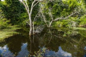Cambodia - Neak Pean