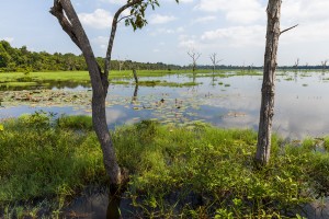 Cambodia - Neak Pean