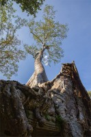 Cambodia - Preah Khan