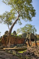 Cambodia - Preah Khan