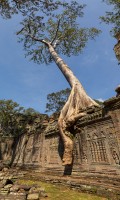 Cambodia - Preah Khan