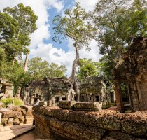 Cambodia - Ta Prohm