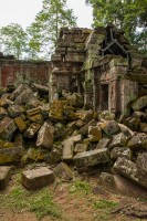 Cambodia - Ta Prohm