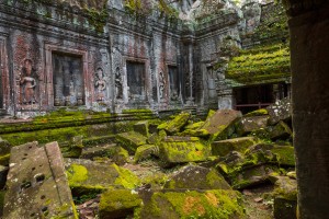 Cambodia - Ta Prohm