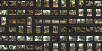 Cambodia - Ta Prohm