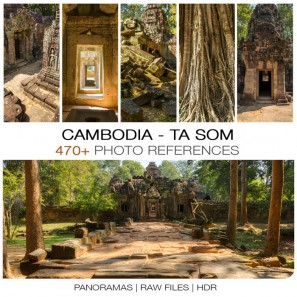 Cambodia - Ta Som