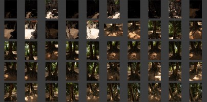 Cambodia - Ta Som