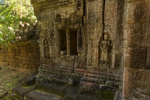 Cambodia - Ta Som