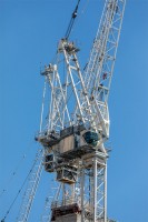 CRANES 1