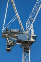 CRANES 1