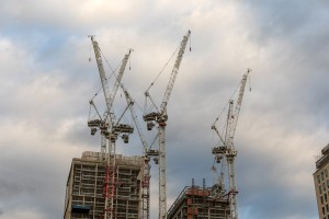 CRANES 1