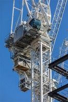 CRANES 2