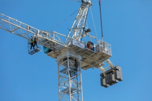CRANES 2