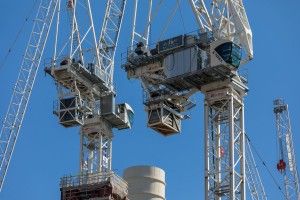 CRANES 2