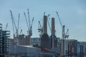 CRANES 3
