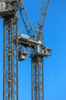 CRANES 3