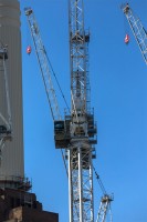CRANES 3