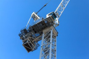 CRANES 3
