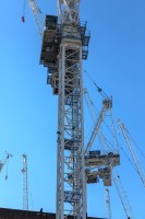 CRANES 3