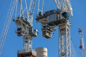 CRANES BUNDLE